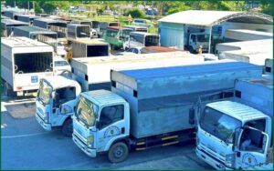Đào Tạo Sát Hạch Thi Bằng Lái Xe Hạng C