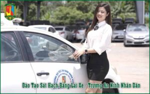 Đào Tạo Sát Hạch Thi Bằng Lái Xe Hạng B1