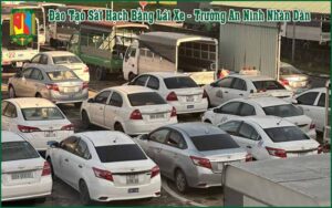 Nên Học Bằng Lái Xe B1 Hay B2
