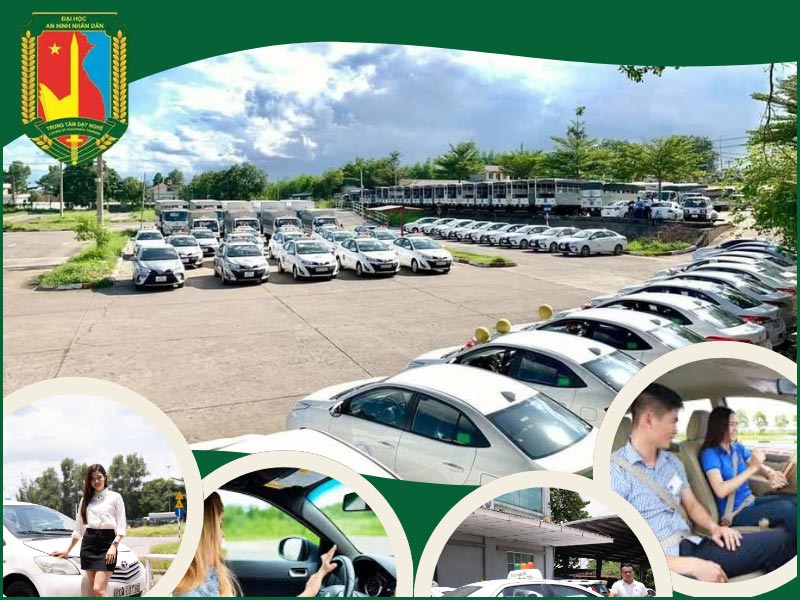 Nên Học Bằng Lái Xe B1 Hay B2