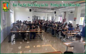 Học Bằng Lái Xe B1 Tại Thủ Đức