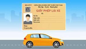 Các Loại Giấy Phép Lái Xe Mới Nhất 2025